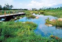 香港十大最好玩的地方：香港海洋公园上榜 第一名去香港必去|爱分享