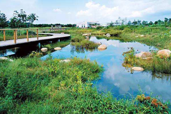 香港十大最好玩的地方：香港海洋公园上榜 第一名去香港必去插图9