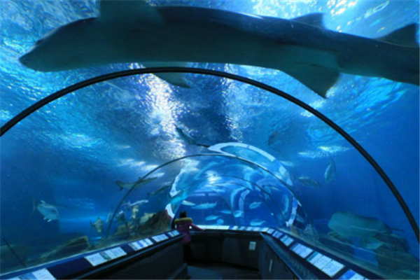 上海最好玩的地方排名 你知道几个插图5