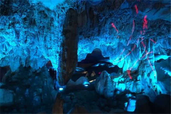 金华好玩的地方排行榜 金华最好玩的地方推荐插图6