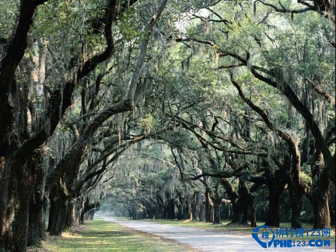 美国十大魅力城市排行榜插图8