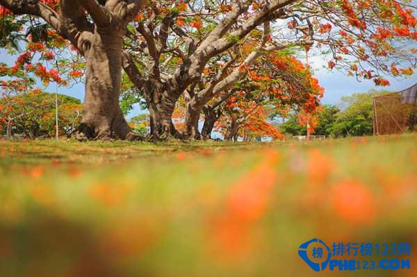 全球14个海岛游绝美景点排行榜插图8