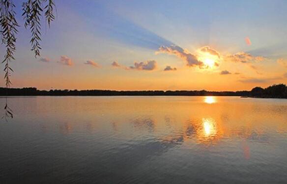 盐城好玩的地方排行榜 水街必去，荷兰花海带你体验异国情调插图