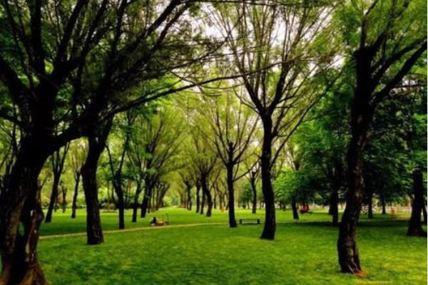 郑州好玩又免费的景点排名 如意湖上榜，科技馆最具教育意义插图4