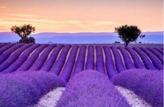 全球度蜜月排行榜 爱琴海北海道上榜,第三是世界婚礼圣地插图8