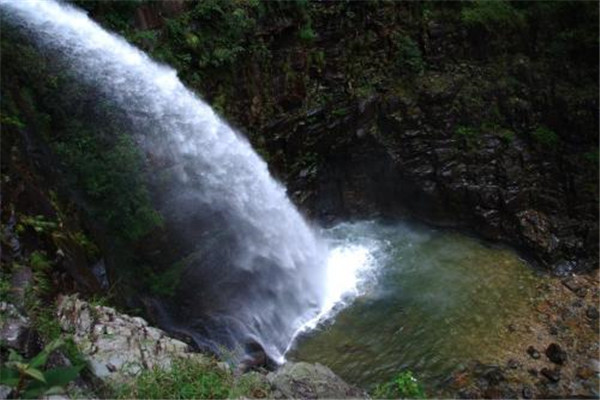 韶关十大公园广场排名:雄州公园上榜，第6看银杏插图2