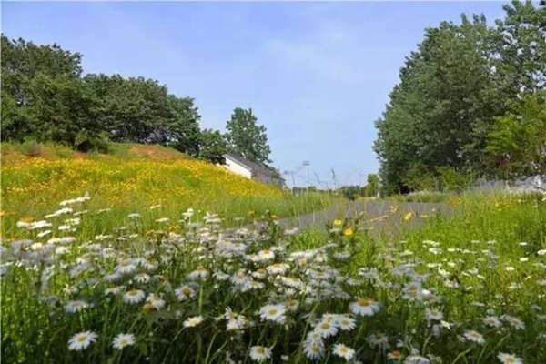 到南京不得不去的10个地方,珍珠泉第二，你去过几个呢插图