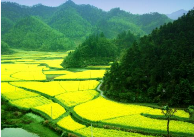 中国十大风光摄影圣地 摄影爱好者必去的摄影地插图4