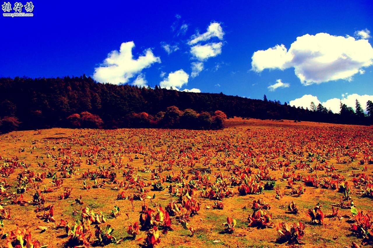 5月份适合去哪里旅游 十大5月国内旅游最佳去处插图3