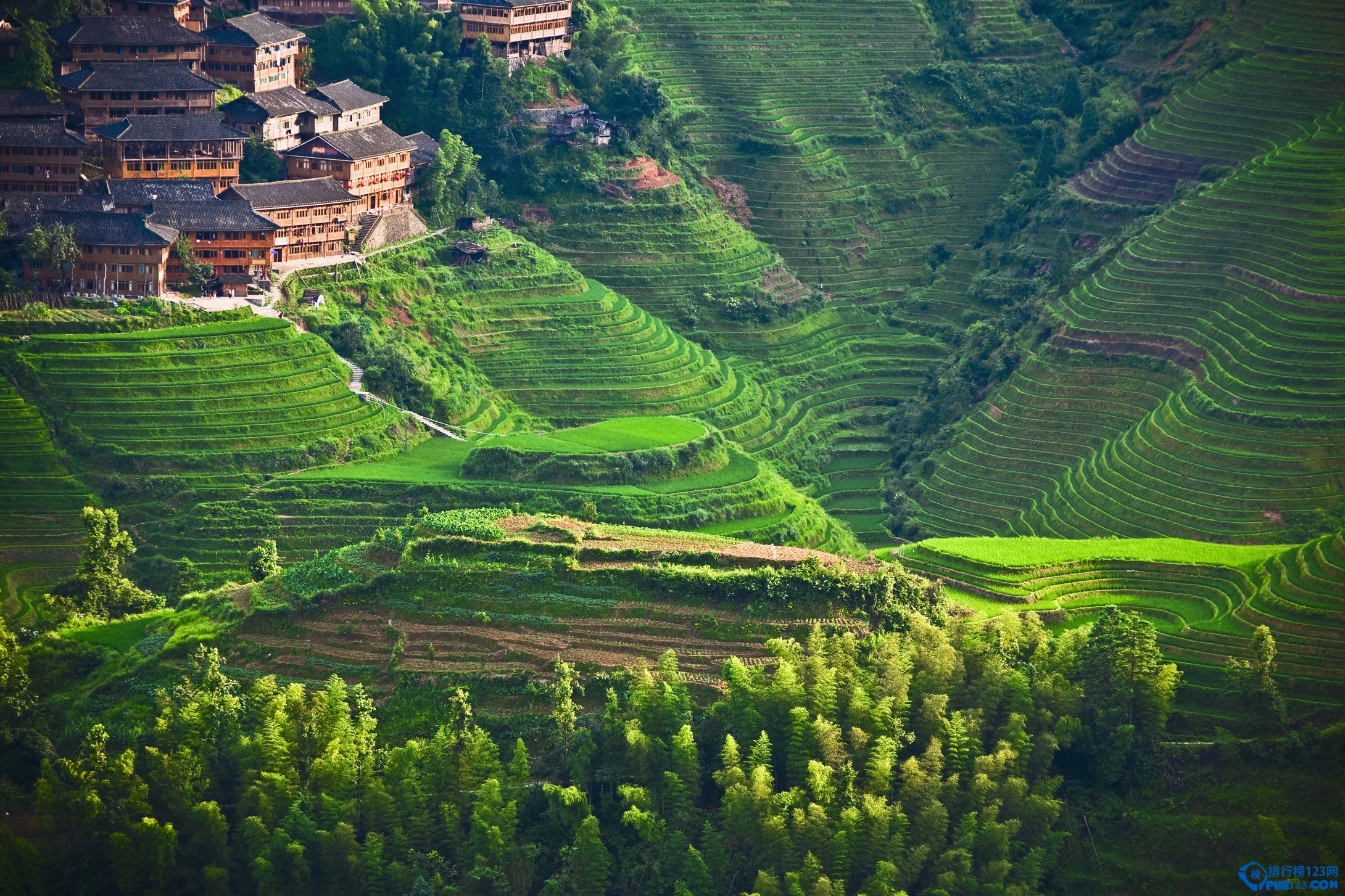 贵州梯田哪里最美 盘点贵州十大最美梯田插图8