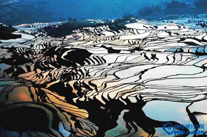 全球最美的十大梯田排行榜插图8