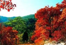 北京十大人少好玩的景点：香山公园上榜，夏季避暑好去处|爱分享