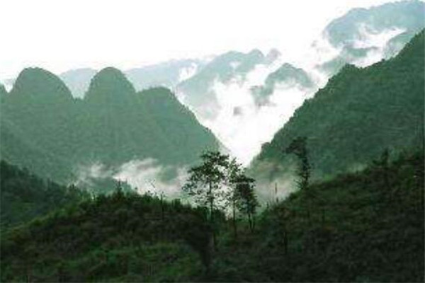 来宾最好玩的地方推荐 来宾好玩的地方排行榜插图1