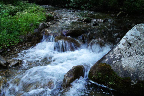 甘肃十大景点：拉卜楞寺上榜，第三海拔高达两千米插图8