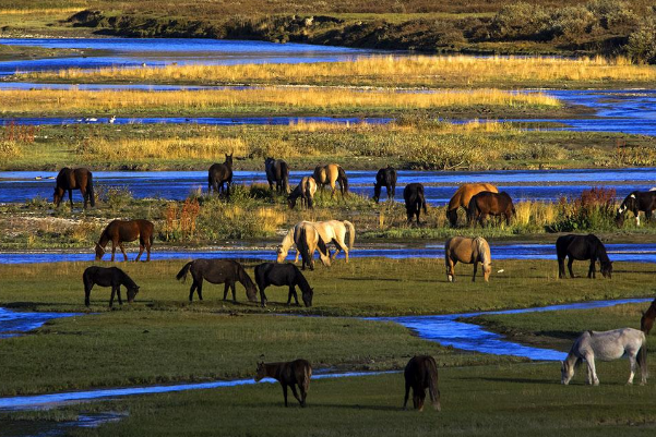 新疆十大最受欢迎的景点：火焰山上榜，它在语文课本里插图8