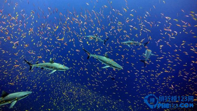 新出炉的世界十大自然保护区排行榜插图2