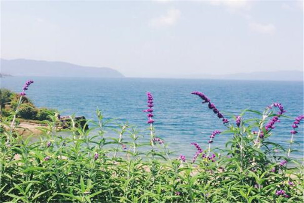 玉溪最好玩的地方推荐 玉溪好玩的地方排行榜插图1