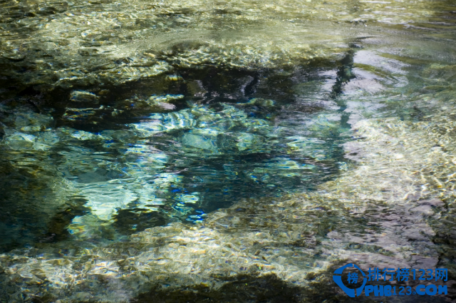 盘点全球最危险潜水区TOP10插图4