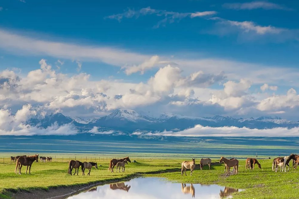 中国最冷的地方前十名：图里河上榜，第一零下52.3度插图5