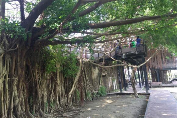 台南最好玩的地方推荐 台南好玩的地方排行榜插图