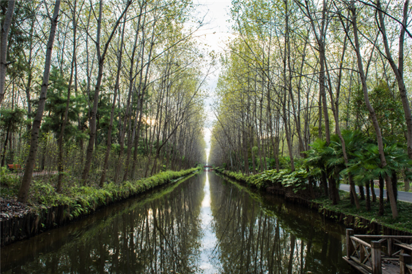 合肥十大网红打卡圣地：合肥大剧院上榜，罍街仅第三插图5