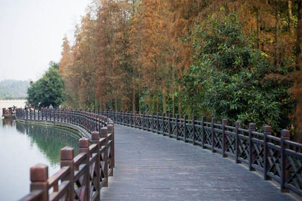 广州爬山十个好去处:广州最高峰天堂顶上榜 第一名尽览广州插图4