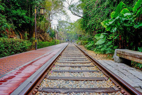 厦门旅游必去十大景点 环岛路上榜 第一名美到可以拍偶像剧插图9