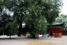 焦作好玩的地方排行榜 云台山风景独好，陈家沟太极拳文化浓厚|爱分享