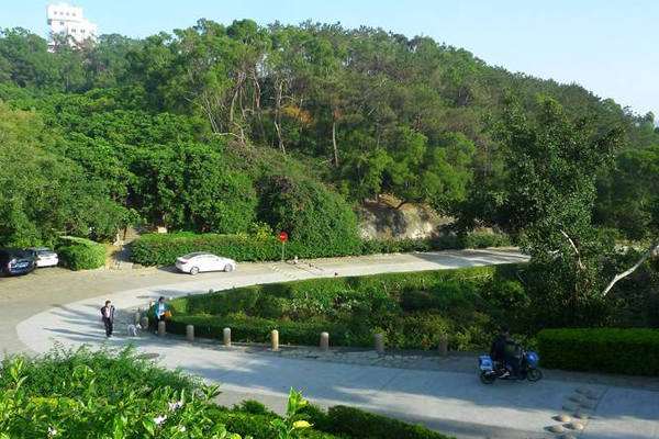 厦门十大爬山好去处排行榜：观音山/莲花山上榜，第一鸟语花香插图8