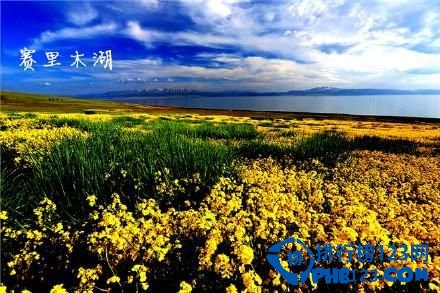 中国九大最让人迷醉的花海排行榜 让人迷醉的花海插图6