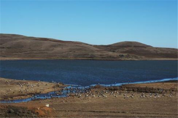 昭通最好玩的地方推荐 昭通好玩的地方排行榜插图2