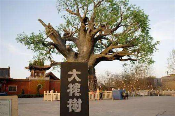 山西一日游必去的地方排行：雁门关上榜，第六是瀑布美景插图4