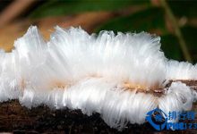 自然界最不可思议的十大奇景观排行榜|爱分享