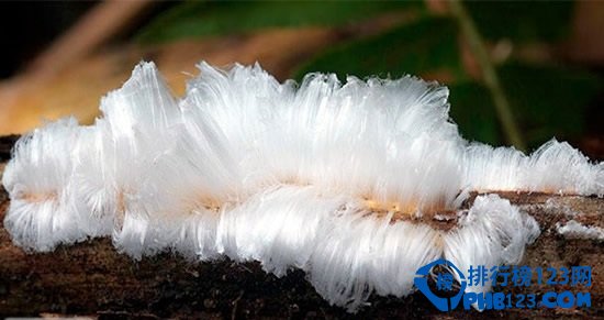 自然界最不可思议的十大奇景观排行榜插图9