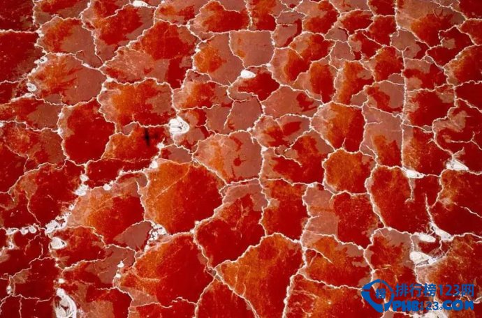 盘点全球十大梦幻奇景 一定要来看看插图1