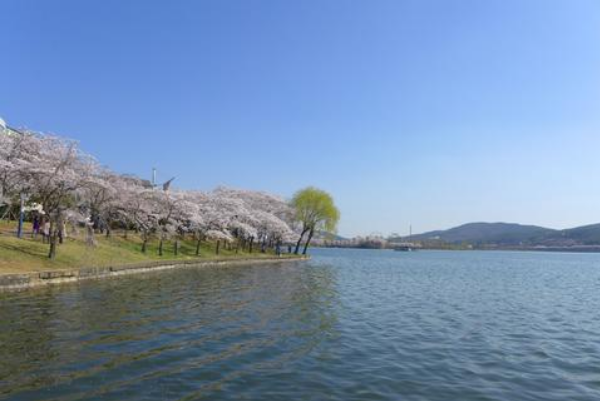 韩国十大热门景点：昌德宫上榜，它是首尔五大宫之首插图8