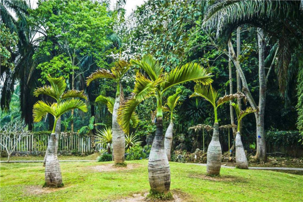 2020云南旅游胜地排名 玉龙雪山景色美不胜收 丽江知名度高插图