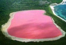粉色沙滩是哪个国家的,粉红沙滩是如何形成的|爱分享