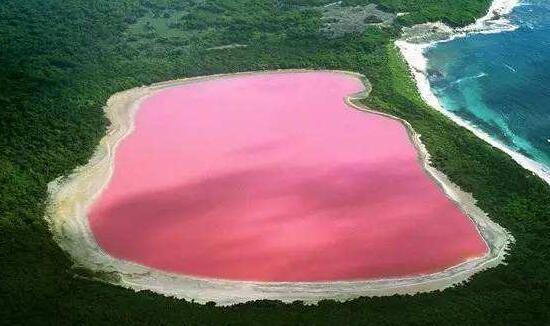 粉色沙滩是哪个国家的,粉红沙滩是如何形成的插图