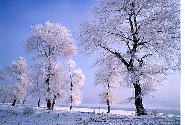 中国冬天适合去哪看雪？中国看雪的十大地方盘点插图3