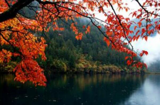 四川十大旅游景点排名 九寨沟第七,第二被称为“蜀山之王”插图6