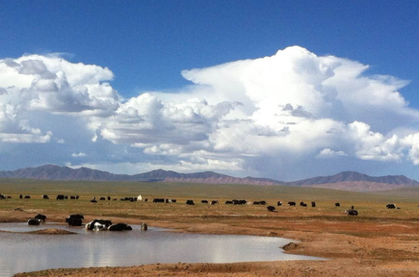 中国最冷的地方前十名：图里河上榜，第一零下52.3度插图9