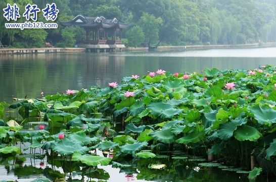 杭州必去！西湖十景排名,你知道西湖十景有那些吗？插图5