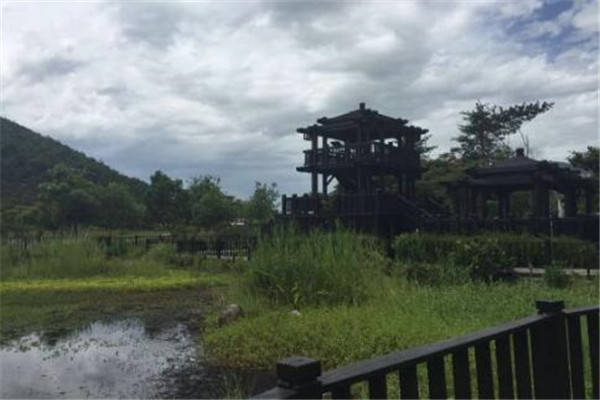 花莲十大必游景点 清水断崖必到插图6