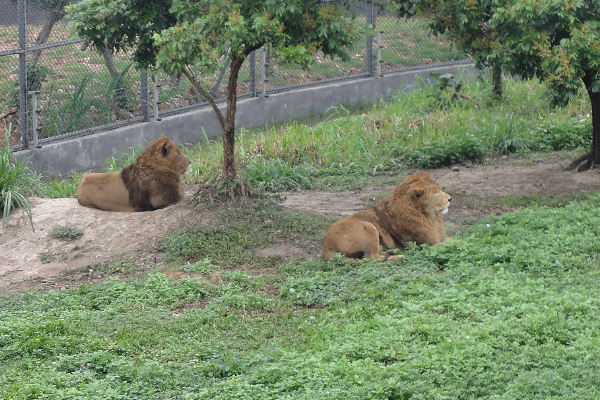 东莞十大最好玩的景点：隐贤山庄上榜，粤晖园仅第七插图2