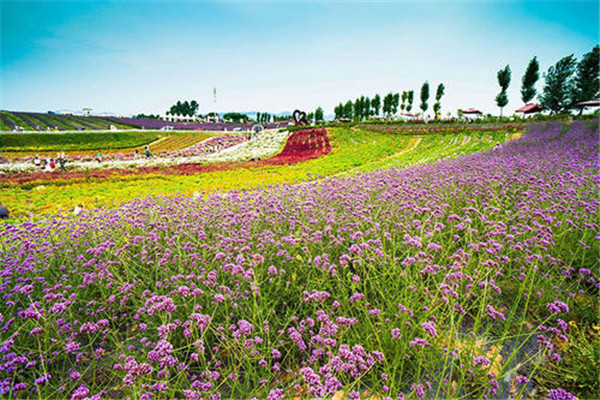 崇左十大风景名胜排名：明仕田园第6，花千骨拍摄地上榜插图6
