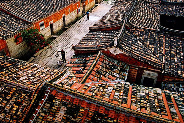 南安十大好玩景区：南安香草世界上榜 花开时节宛如花的海洋插图3