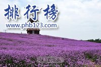 成都有什么好玩的地方？成都旅游必去十大景点排行榜插图6