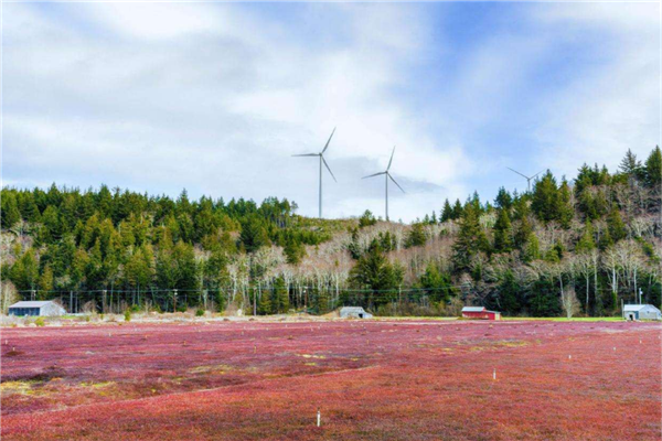 新西兰最有魅力的5个小镇 皇后镇上榜仅第四格雷兰登顶插图