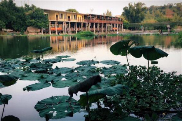 厦门私密性好的约会地 想和她说悄悄话就选这些的地方插图5